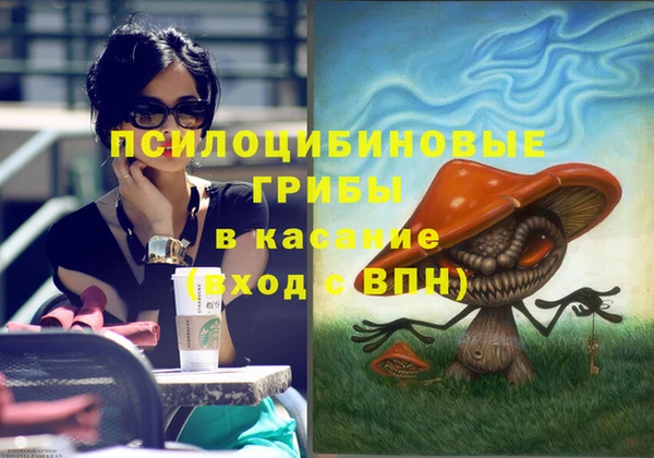 spice Алексеевка