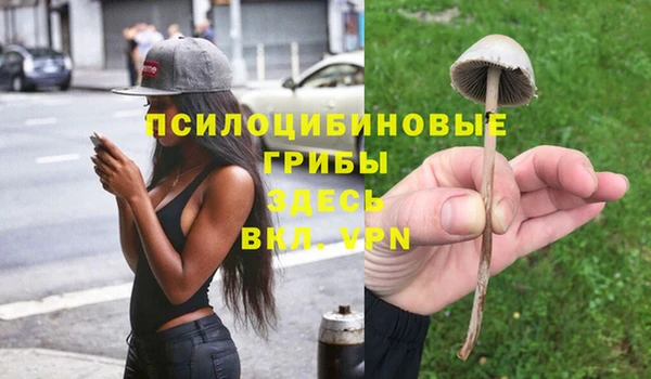 МДМА Алексин