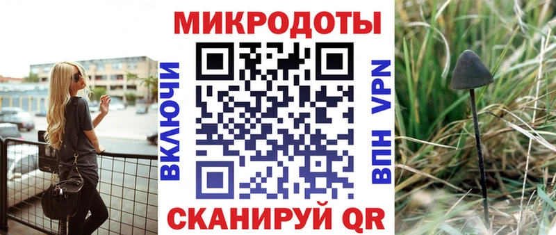 Псилоцибиновые грибы GOLDEN TEACHER  Камбарка 